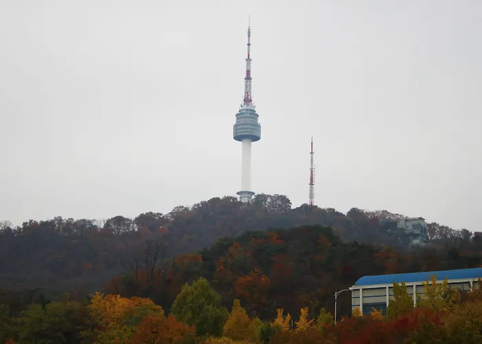 세종 서울 명동 4* 서울특별시